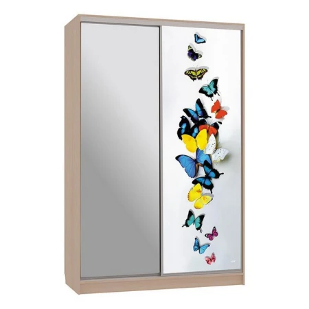 Шкаф-купе Гранд 9-600 88