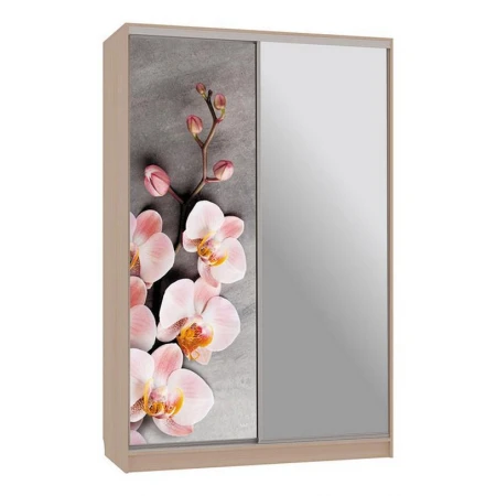 Шкаф-купе Гранд 9-600 78