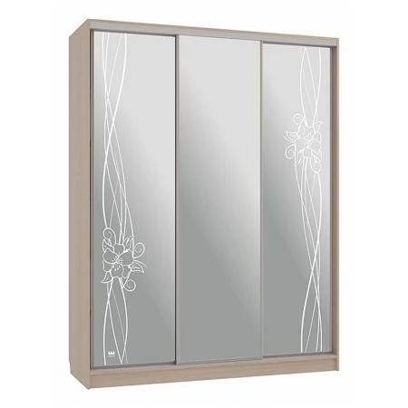 Шкаф-купе Бассо 4-600 волны 2