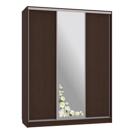 Шкаф-купе Бассо 1-600 розы