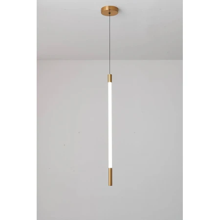 D8961-1 WHITE (1/12) Подвесной светильник RL 