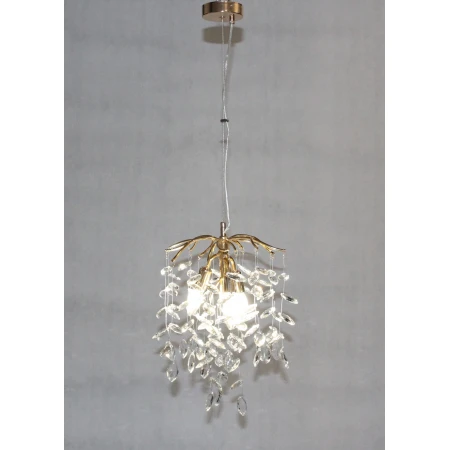 P6022/D300A19 FGD (1) Люстра (RL) 