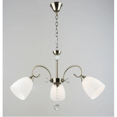 6157/3 AB (2) Люстра RL 