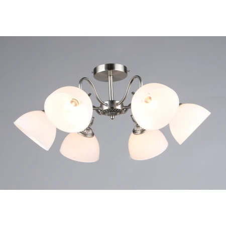 7331/6 SN (1) Люстра RL 