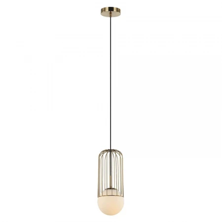 Подвесной светильник Lumien Hall Turi LH4115/1P-BR