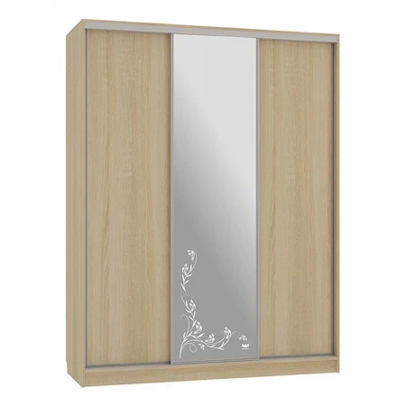 Шкаф-купе Бассо 1-600 цветы 2