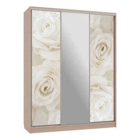 Шкаф-купе Бассо 10-600 розы