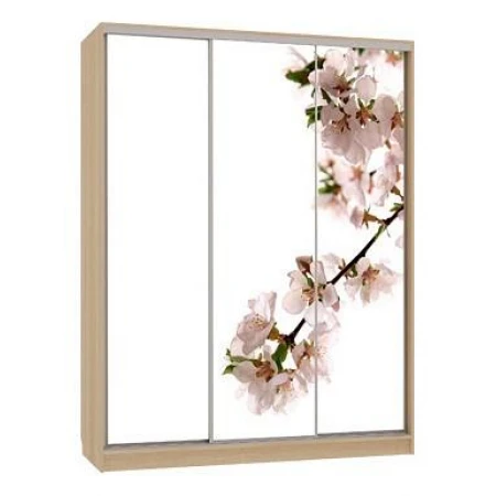 Шкаф-купе 7-600 яблоня