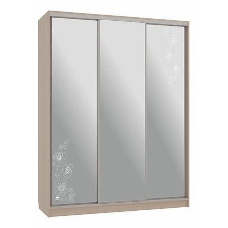 Шкаф-купе Бассо 4-600 токио