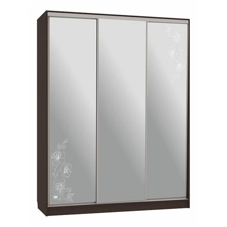 Шкаф-купе Бассо 4-600 токио