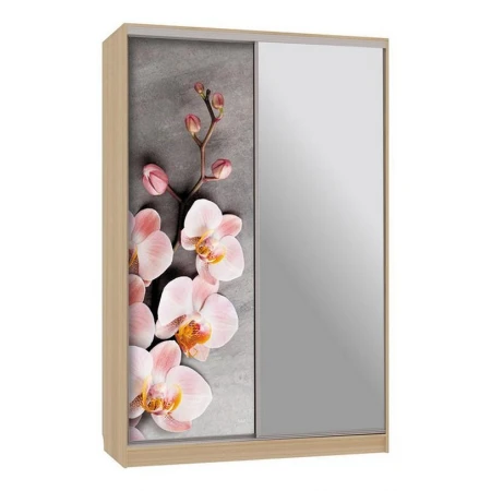 Шкаф-купе Гранд 9-600 78