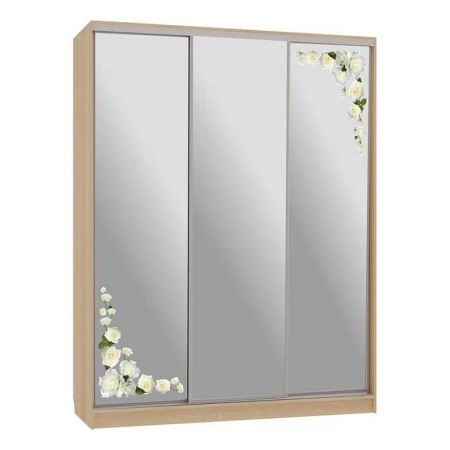 Шкаф-купе Бассо 4-600 розы