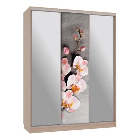 Шкаф-купе Бассо 9-600 78