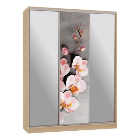 Шкаф-купе Бассо 9-600 78