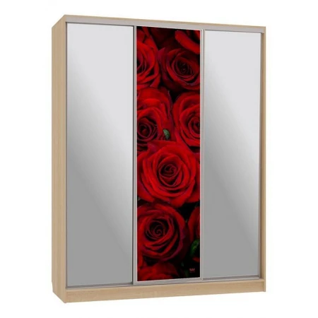 Шкаф-купе Бассо 9-600 89