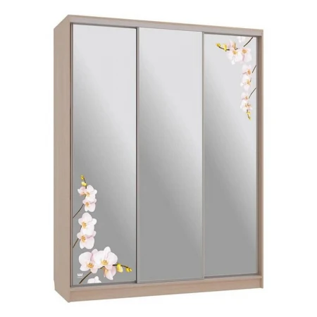 Шкаф-купе Бассо 4-600 орхидеи