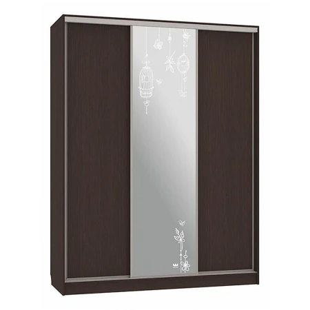 Шкаф-купе Бассо 1-600 птицы