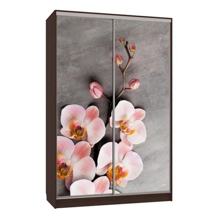 Шкаф-купе Гранд 7-600 78