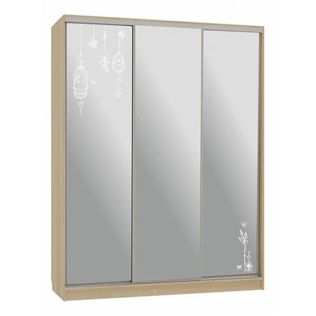 Шкаф-купе Бассо 4-600 птицы