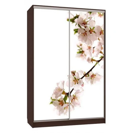 Шкаф-купе Гранд 7-600 Европа