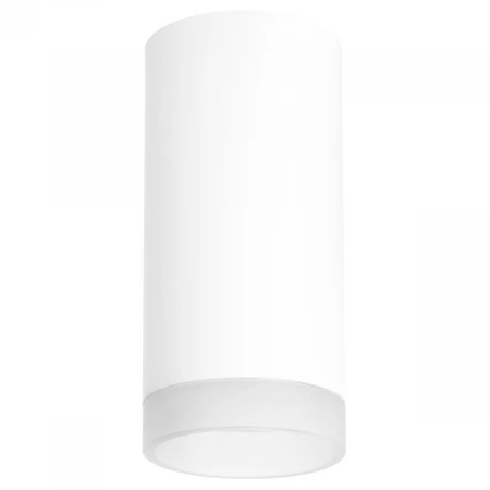 Потолочный светильник Lightstar Rullo (216486+202480) R648680