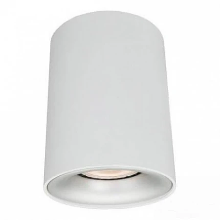 Потолочный светильник Arte Lamp Torre A1532PL-1WH Потолочный светильник Arte Lamp Torre A1532PL-1WH