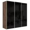 Шкафы-купе 3-х дверный Эста Трио черный  Шкафы-купе 3-х дверный Эста Трио черный