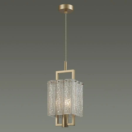 Светильник Odeon Light 4976/1 EDERA