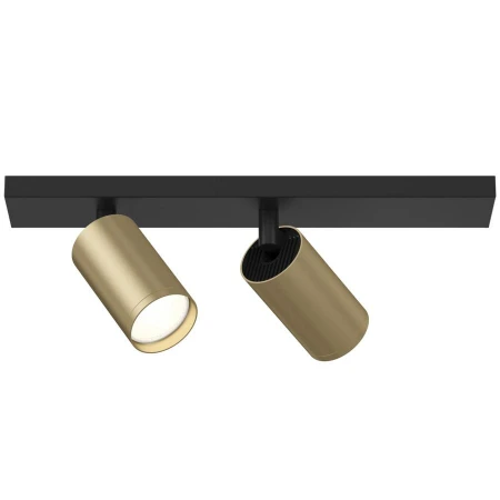 Точечный светильник Maytoni C051CL-02BMG FOCUS S