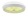 Потолочный светодиодный светильник Freya Cells FR10012CL-L24W