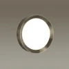 Настенный светодиодный светильник Odeon Light Lunor 4948/30CL