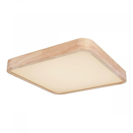 Потолочный светодиодный светильник Globo Leanara 41755-36