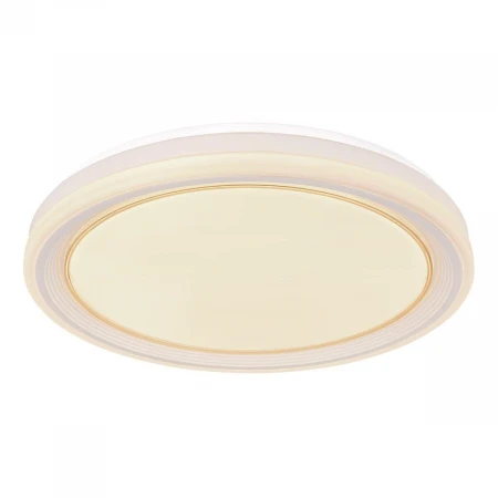 Потолочный светодиодный светильник Globo Tebby 48274-40