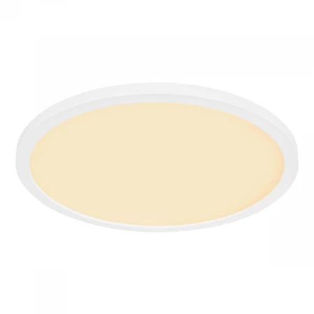 Потолочный светодиодный светильник Globo Sapana 41562-24W