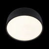 Потолочный светодиодный светильник Loft IT Axel 10201/350 Black