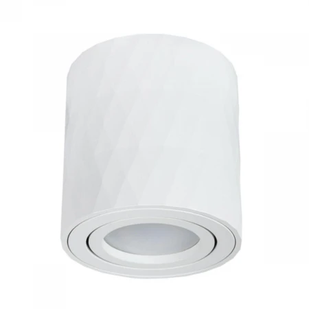Потолочный светильник Arte Lamp Fang A5559PL-1WH
