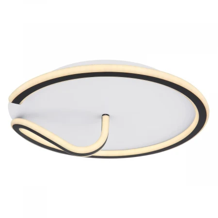 Настенно-потолочный светодиодный светильник Globo Rodan 48439-40