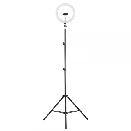 Торшер Camelion KD-810F C02 13010