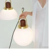 Подвесной светильник Imperium Loft Arc Globe 101295-26