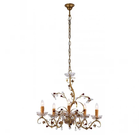 Подвесная люстра Arte Lamp Palazzo A8933LM-5SG