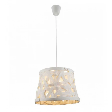 Подвесной светильник Toplight Patricia TL1122-1H