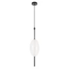 Подвесной светодиодный светильник Loft IT Venice 10223/E White