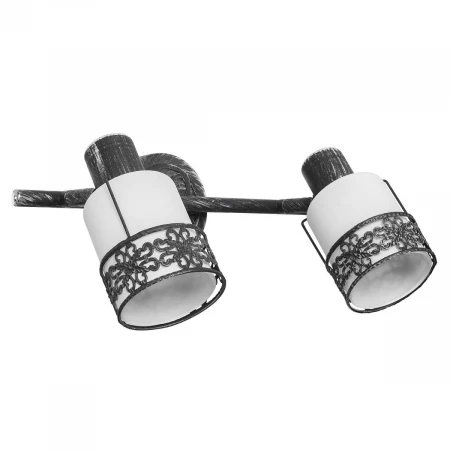 Спот Gerhort G81011/2GY WT
