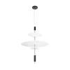 Подвесной светильник Loft IT Skylar 10244/C Black