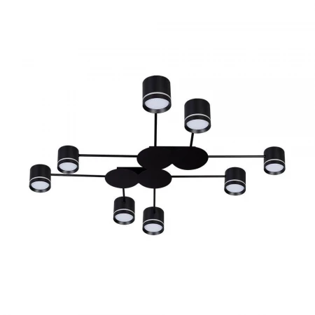 Потолочная люстра Arte Lamp Legacy A8024PL-8BK