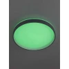 Светильник потолочный Citilux ENZO CL753453G