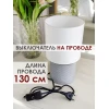 Настольная лампа Lucia Парма 367 4606400051367