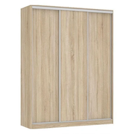 Шкаф-купе Бассо 5-600