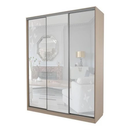 Шкаф-купе Бассо 4-600 бабочки