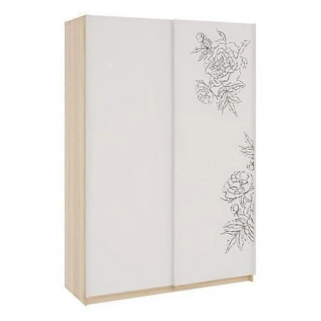 Шкаф-купе Зара